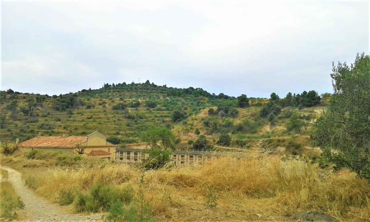 Apartmán Cal Pablo Rocafort de Vallbona Exteriér fotografie